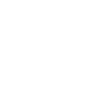spivi-studio-300x300-1
