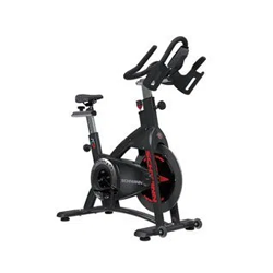 schwinn-ac-power-250